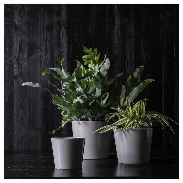 SKOGSVINBAR Plant pot, in/outdoor grey, 12 cm