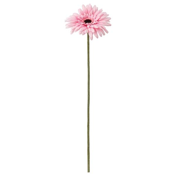 SMYCKA Artificial flower, Gerbera/pink 50 cm