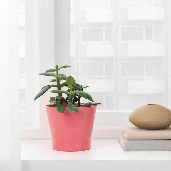 PAPAJA Plant pot, red 9 cm