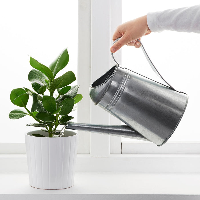 SOCKER Watering can, in/outdoor/galvanised 2.6 l