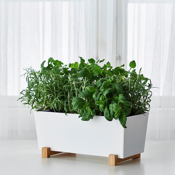 Furnsmart Enterprise