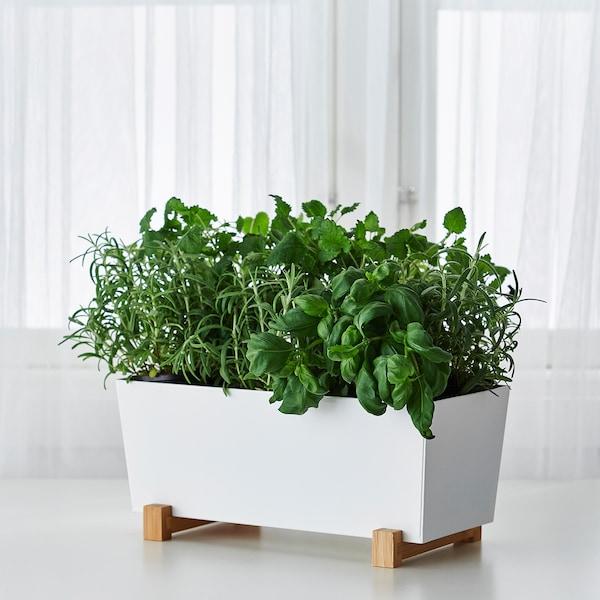 BITTERGURKA Plant pot, white 32x15 cm