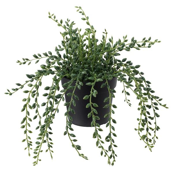 FEJKA Artificial potted plant, in/outdoor String of beads 9 cm