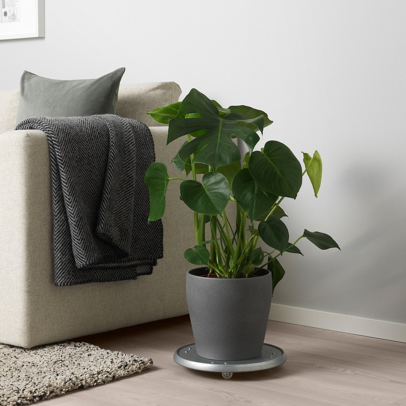 Furnsmart Enterprise