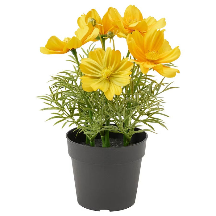 FEJKA artificial potted plant, in/outdoor/cosmos yellow, 9cm