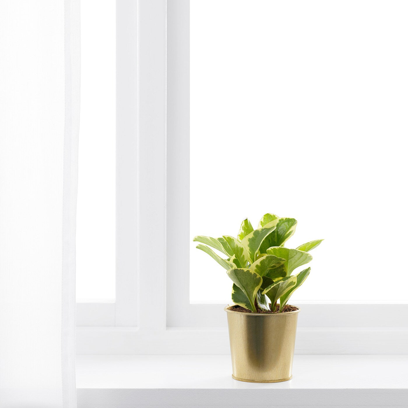 Furnsmart Enterprise
