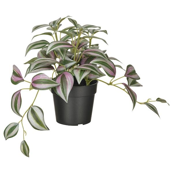 FEJKA Artificial potted plant, in/outdoor Spiderwort 9 cm