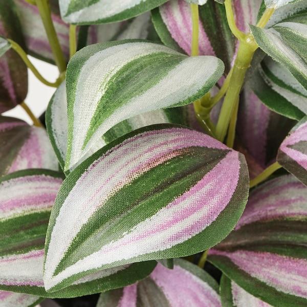 FEJKA Artificial potted plant, in/outdoor Spiderwort 9 cm