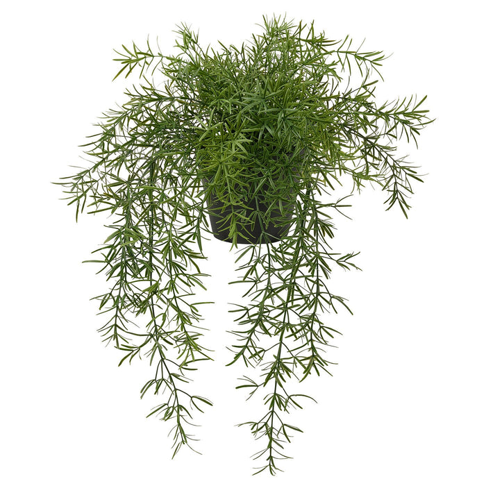 FEJKA Artificial potted plant, in/outdoor Asparagus/hanging 12 cm