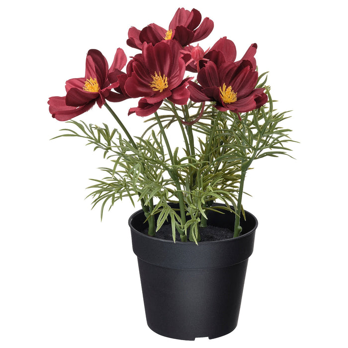 FEJKA Artificial potted plant, in/outdoor/cosmos red, 9 cm