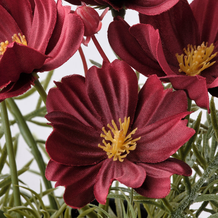 FEJKA Artificial potted plant, in/outdoor/cosmos red, 9 cm