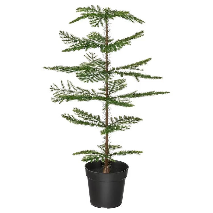 FEJKA Artificial potted plant, in/outdoor Norfolkislandpine, 15 cm