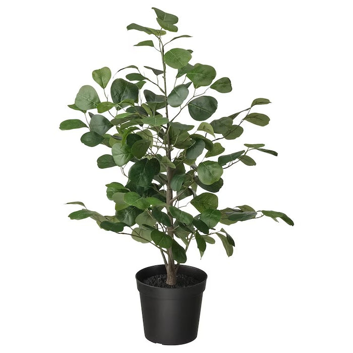 FEJKA Artificial potted plant, in/outdoor Moclame, 15 cm