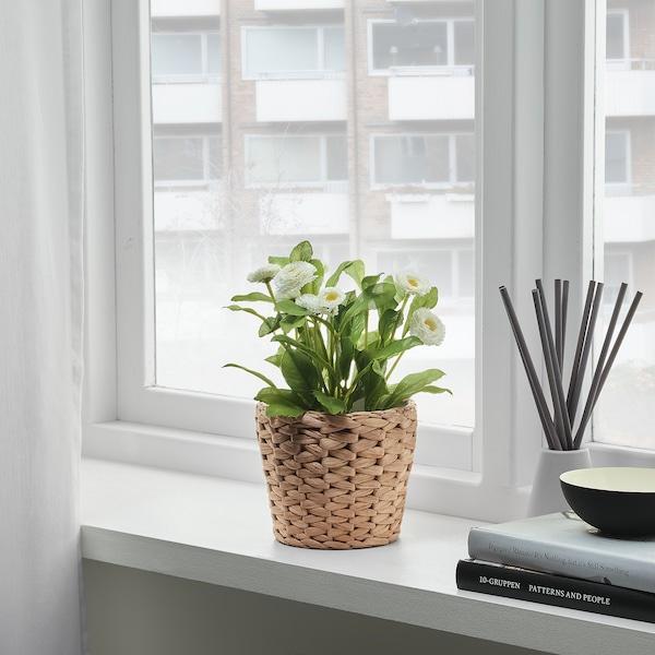 Furnsmart Enterprise