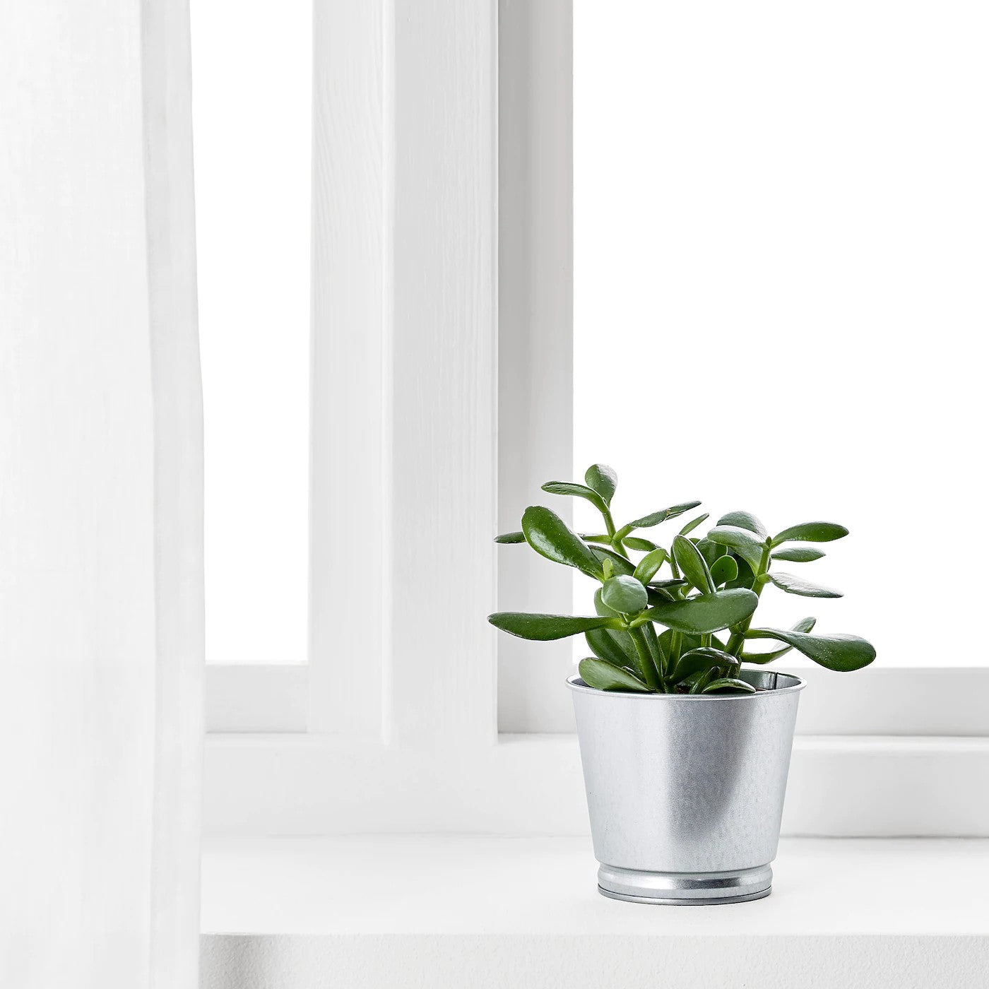 Furnsmart Enterprise