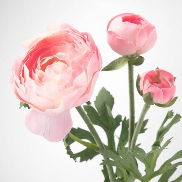 SMYCKA artificial flower 52cm, ranunculus/pink