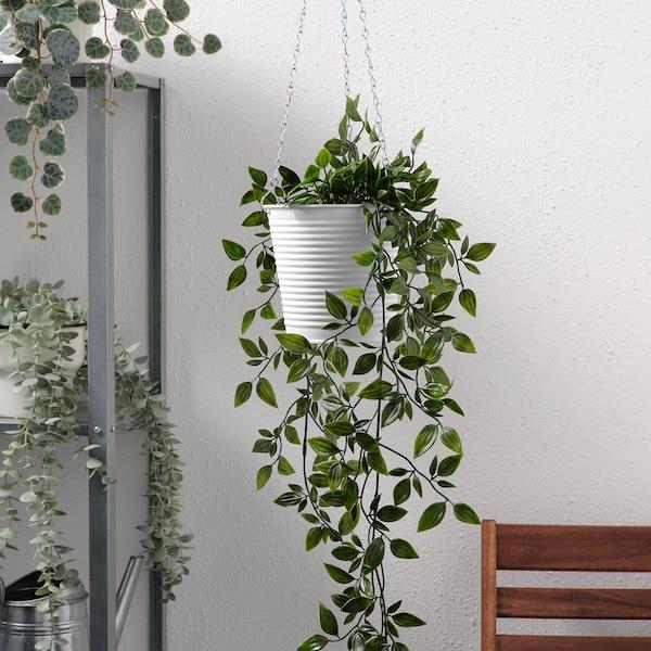 CASHEWAPPLE Hanging planter, in/outdoor white 12 cm