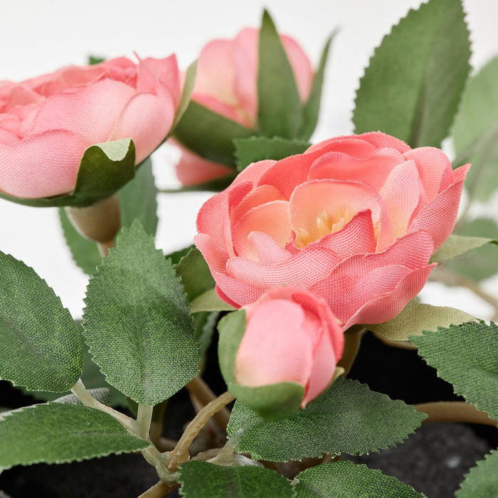 FEJKA Artificial potted plant, in/outdoor Rose/hanging pink, 9 cm