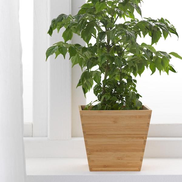 VILDAPEL Plant pot, bamboo 12 cm