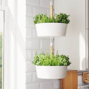 BITTERGURKA Hanging planter, white