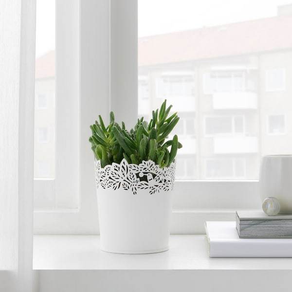 SAMVERKA Plant pot, white 9 cm