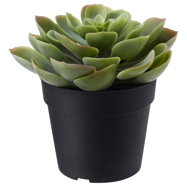 FEJKA Artificial potted plant, in/outdoor Succulent 9 cm