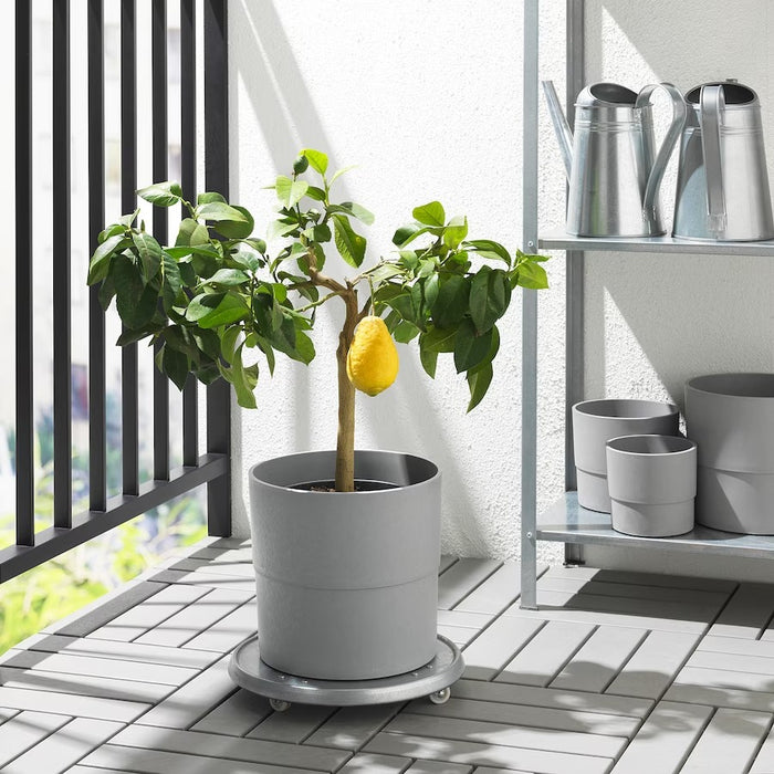 NYPON Plant pot, in/outdoor grey 24 cm