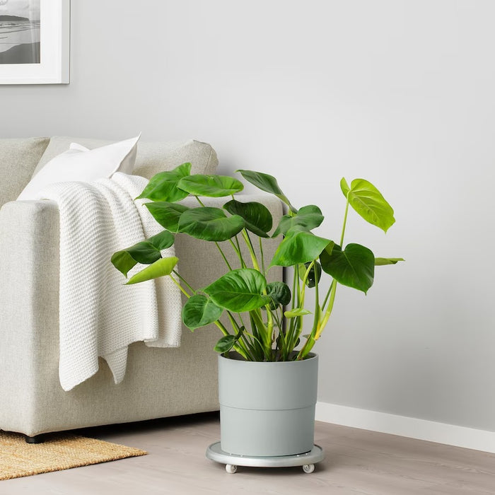 NYPON Plant pot, in/outdoor grey 24 cm