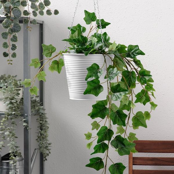 CASHEWAPPLE Hanging planter, in/outdoor white 15 cm