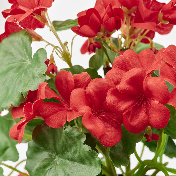 FEJKA Artificial potted plant, in/outdoor Geranium/hanging red 12 cm