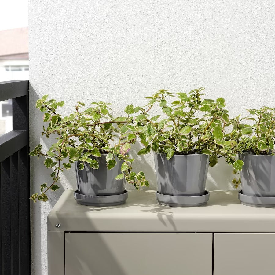 Furnsmart Enterprise