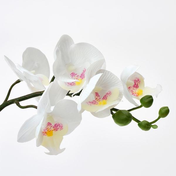 FEJKA Artificial potted plant, Orchid white 9 cm