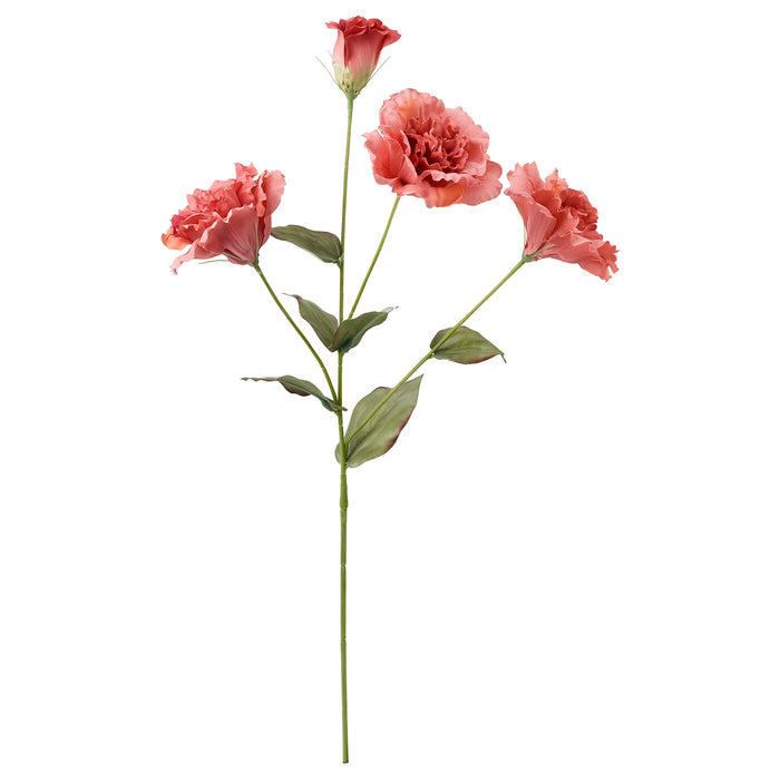 SMYCKA Artificial flower, Lisianthus/dark pink, 60 cm