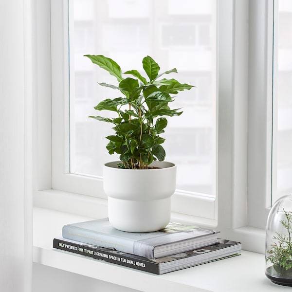 FORENLIG Plant pot, in/outdoor white 12 cm