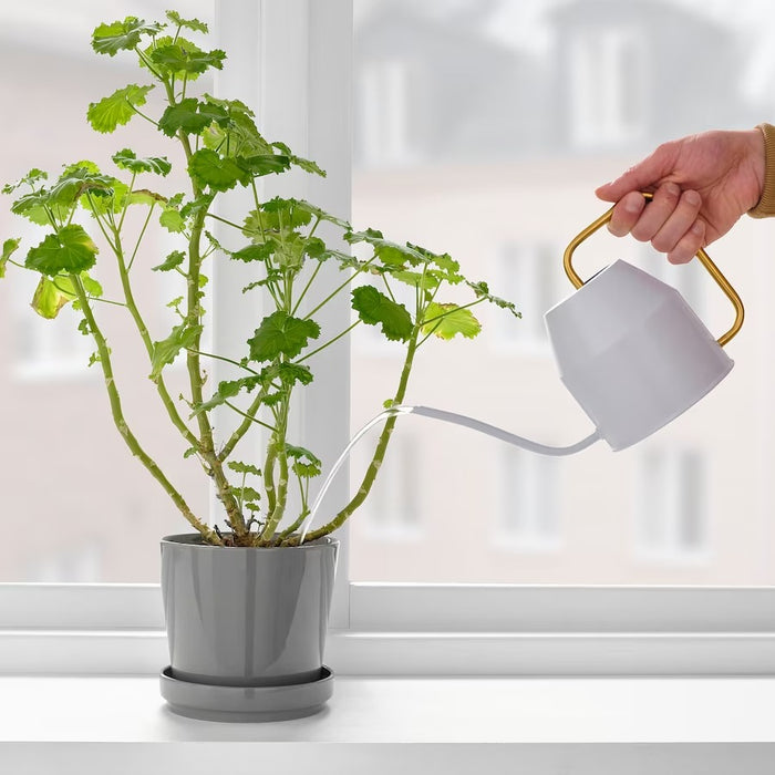 VATTENKRASSE Watering can 0.9l Light-grey/gold