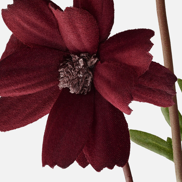 SMYCKA Artificial flower, cosmos/dark red, 65 cm