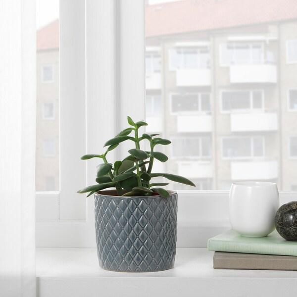 CHIAFRON Plant pot, grey, 9 cm