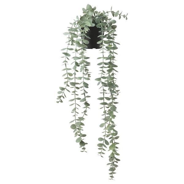 FEJKA Artificial potted plant, in/outdoor hanging/eucalyptus 9 cm