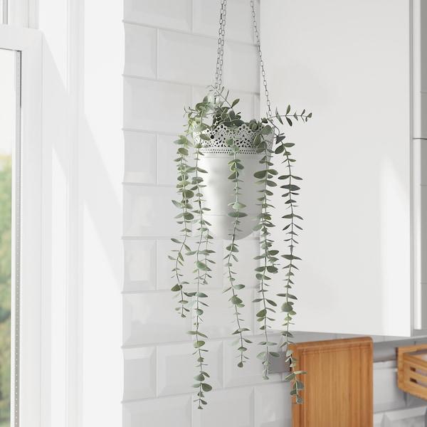 FEJKA Artificial potted plant, in/outdoor hanging/eucalyptus 9 cm