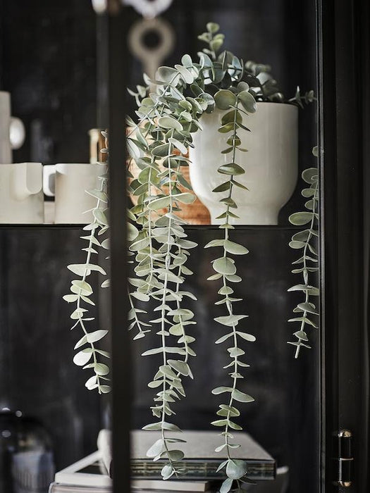 FEJKA Artificial potted plant, in/outdoor hanging/eucalyptus 9 cm