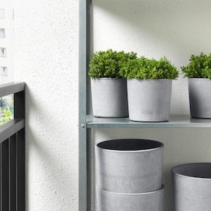 BOYSENBAR Plant pot, in/outdoor light grey 12 cm