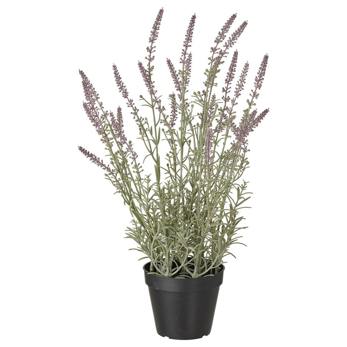 FEJKA artificial potted plant, in/outdoor/Lavender