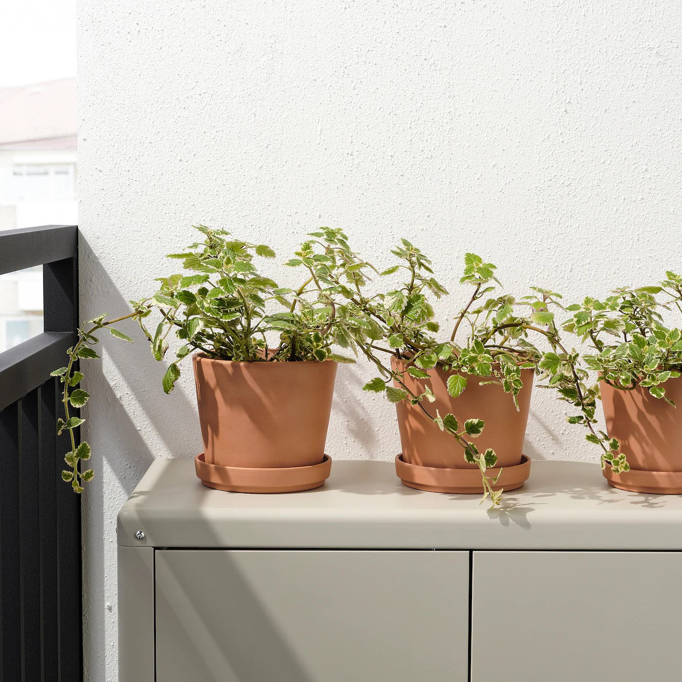Furnsmart Enterprise