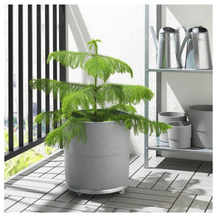 NYPON plant pot, in/outdoor grey, 32 cm